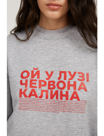 Картинка Сірий світшот