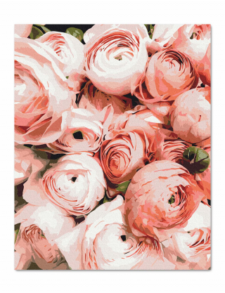 Картинка Картина за номерами «Персикові піоновидні троянди»