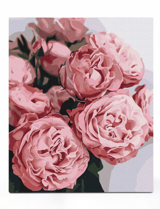 Картинка Картина за номерами «Піоновидні троянди»