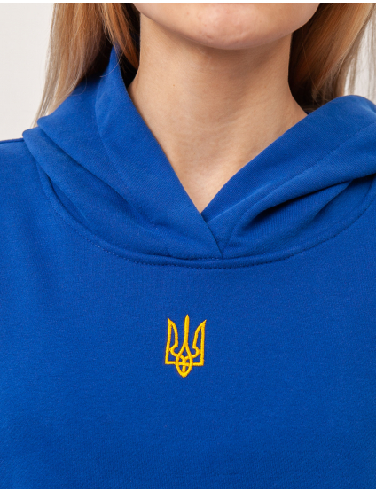 Картинка Синє худі з гербом