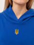 Картинка Синє худі з гербом
