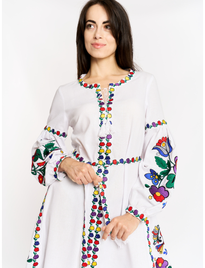 Картинка Вишита сукня з кольоровим орнаментом