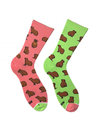 Картинка Шкарпетки