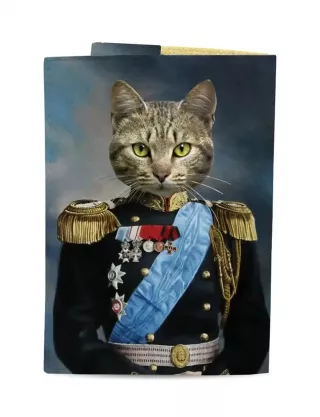 Картинка Обкладинка на паспорт "Кіт Імператор"