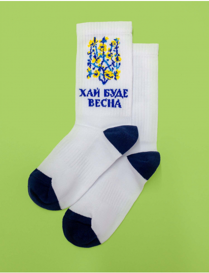 Картинка Шкарпетки з весняним принтом