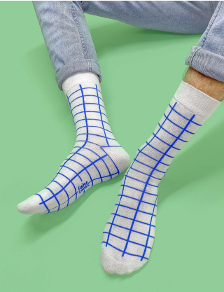 Картинка Шкарпетки білі в синю клітинку
