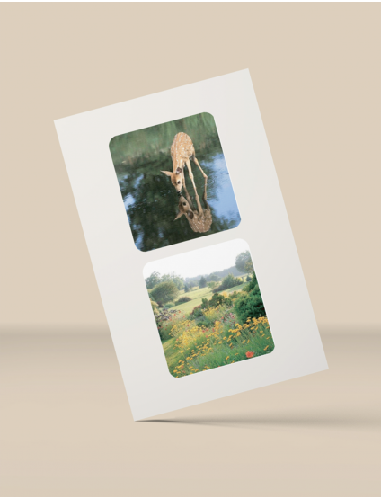 Картинка Об’ємні cтікери Comfort zone