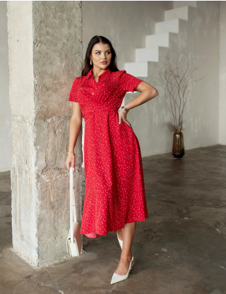 Картинка Сукня максі червона з принтом