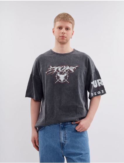 Картинка Футболка сіра з принтом