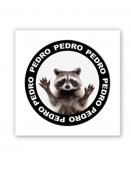 Картинка 3D-стікер із єнотом Pedro