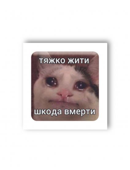 Картинка 3D-стікер із котом і написом