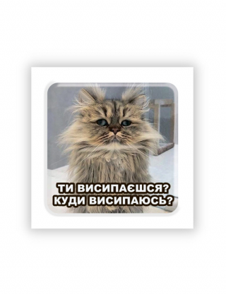 Картинка 3D-стікер із котом і написом