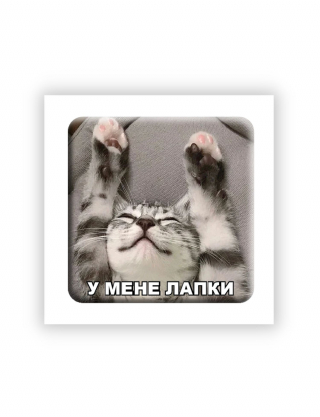 Картинка 3D-стікер "У мене лапки"
