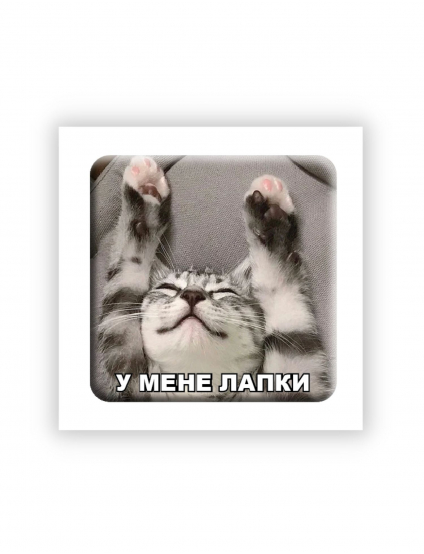 Картинка 3D-стікер "У мене лапки"