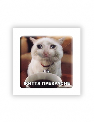 Картинка 3D-наліпка з котом "Життя прекрасне"