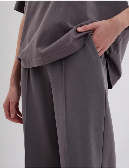 Картинка Штани сірі