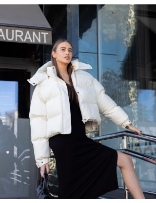 Пуховик білий Картинка Пуховик білий