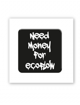Картинка Об’ємна наліпка "Need Ecoflow"