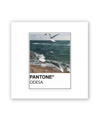 Картинка Об'ємна наліпка Pantone Odesa