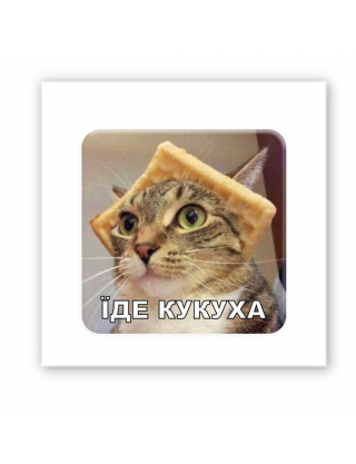 Картинка Об'ємна наліпка "Їде кукуха"