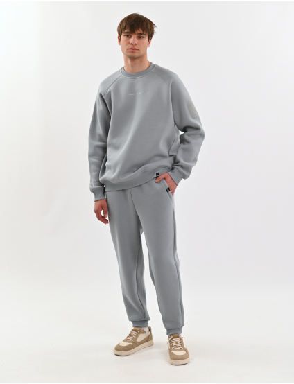 Картинка Штани сірі