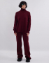 Картинка Костюм бордовий