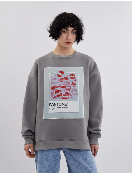 Картинка Світшот сірий з принтом