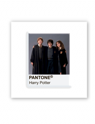 Картинка Об'ємна наліпка Pantone Harry Potter