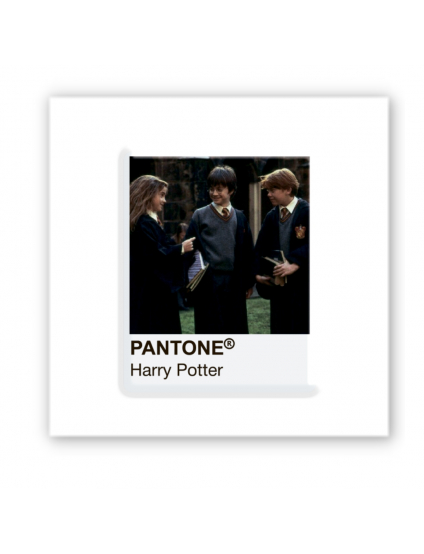 Картинка Об'ємна наліпка Pantone Potter 1