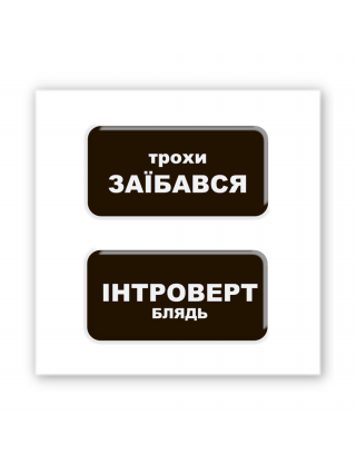 Картинка Об'ємна наліпка "Трохи Інтроверт"