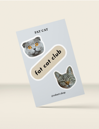 Картинка 3д Стікерпак "Cat Fat"