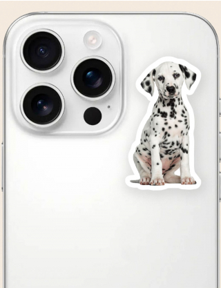 Картинка Наліпка "Dalmatian"