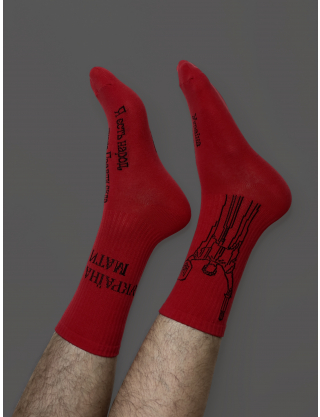 Картинка Шкарпетки «Україна-Мати»  червоні