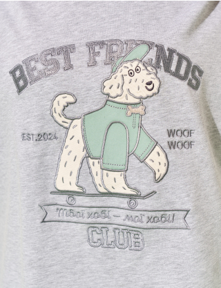 Картинка Футболка "Best Friend's Club" сіра 
