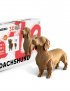 Картинка 3D-пазл DACHSHUND