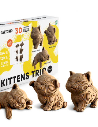 Картинка 3D-пазл KITTENS TRIO