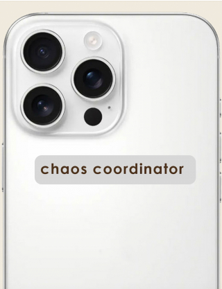 Картинка Об'ємний стікер "Chaos coordinator"