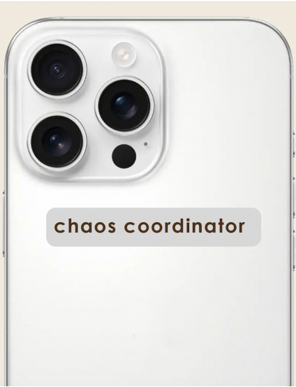 Картинка Об'ємний стікер "Chaos coordinator"