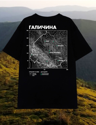 Картинка Оверсайз футболка Галичина