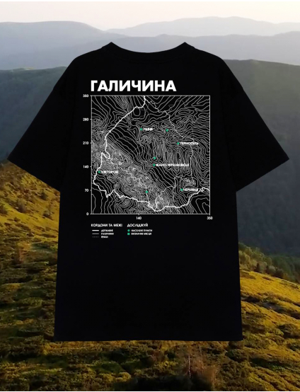 Картинка Оверсайз футболка Галичина