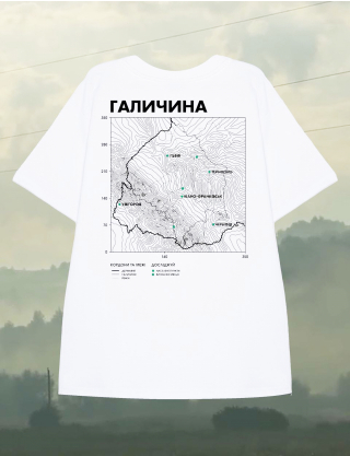 Картинка Оверсайз футболка Галичина