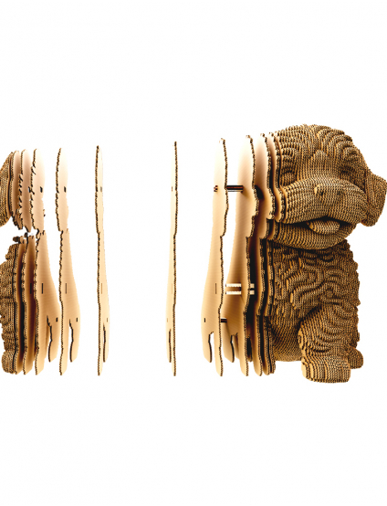 Картинка MALTIPOO — 3D-пазл