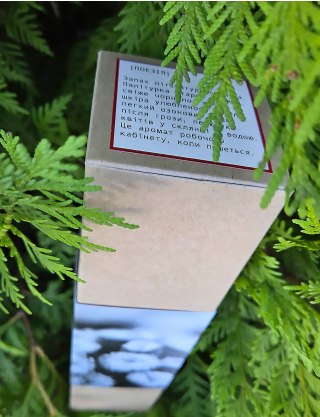 Картинка Аромадифузор ІРПІНЬ ДАЧНИЙ [ПОЕЗІЯ]