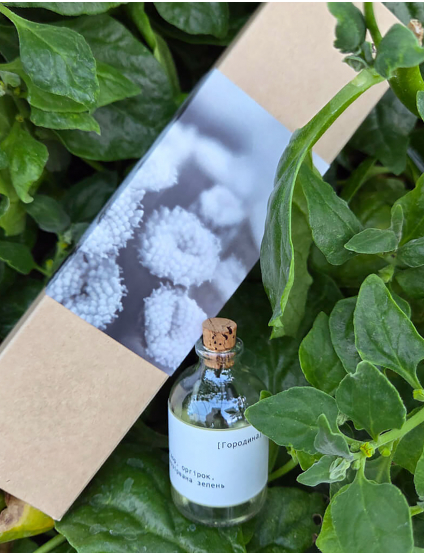 Картинка Аромадифузор ІРПІНЬ ДАЧНИЙ [ГОРОДИНА]