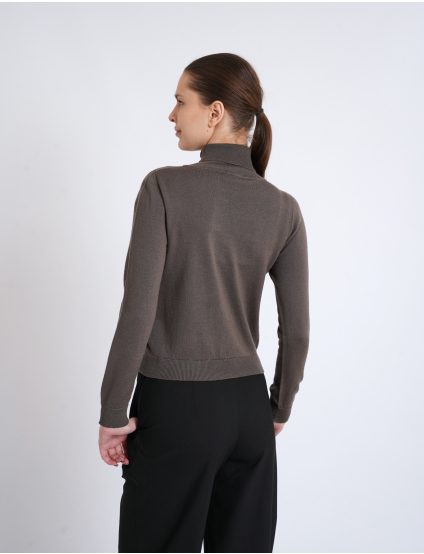 Картинка Гольф світло-коричневий