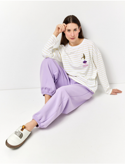 Картинка Лонгслів з вишивкою "Кримська цибулька" смугастий