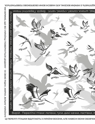 Картинка Дизайнерська хустка "Перелітні птахи"