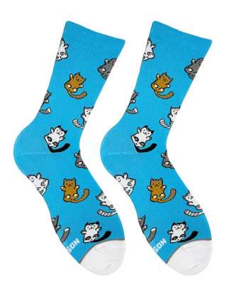 Картинка Шкарпетки Kitten blue