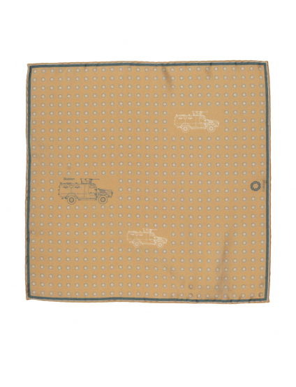 Картинка Шовкова хустина паше «Bastion»