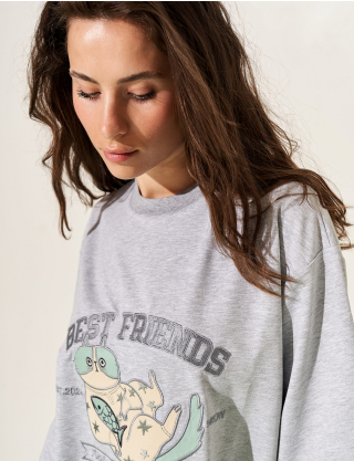 Картинка Футболка з аплікацією "Best Friend's Club" кіт, сірий меланж (unisex)